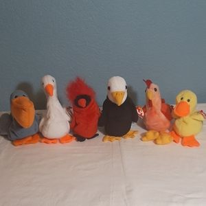 6 Bird Ty Beanie Babies